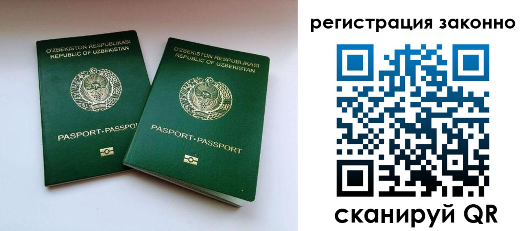 прописка гарантия в Елизово